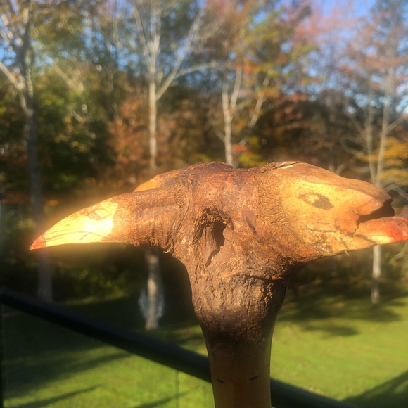 Antique Native American war club - Picture 8 of 9